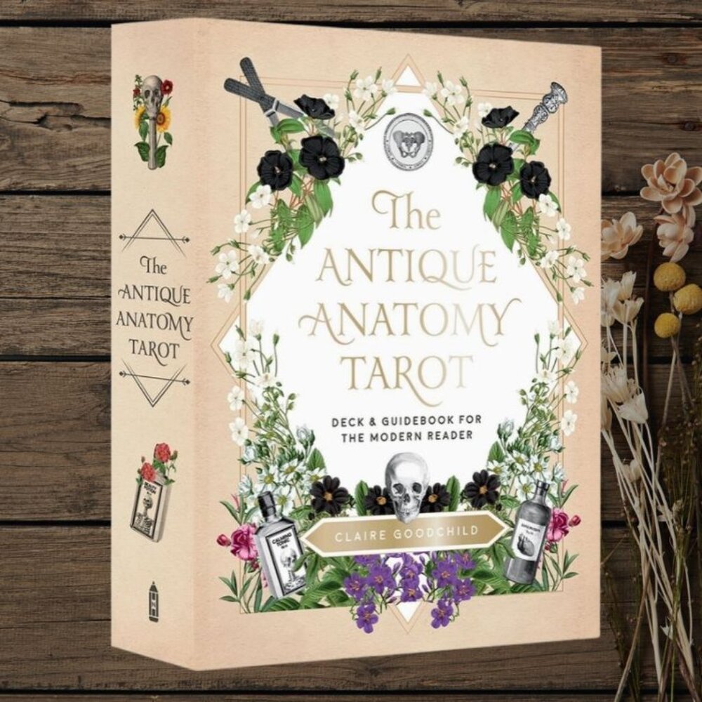 Antique Anatomy Tarot Deck | 78-Card Tarot with Guidebook | Gift Ready - Picture 2 of 16